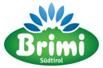 log-brimi-2013-cmyk